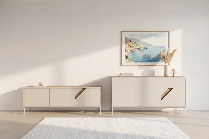 DALIA - Ensemble Buffet & TV