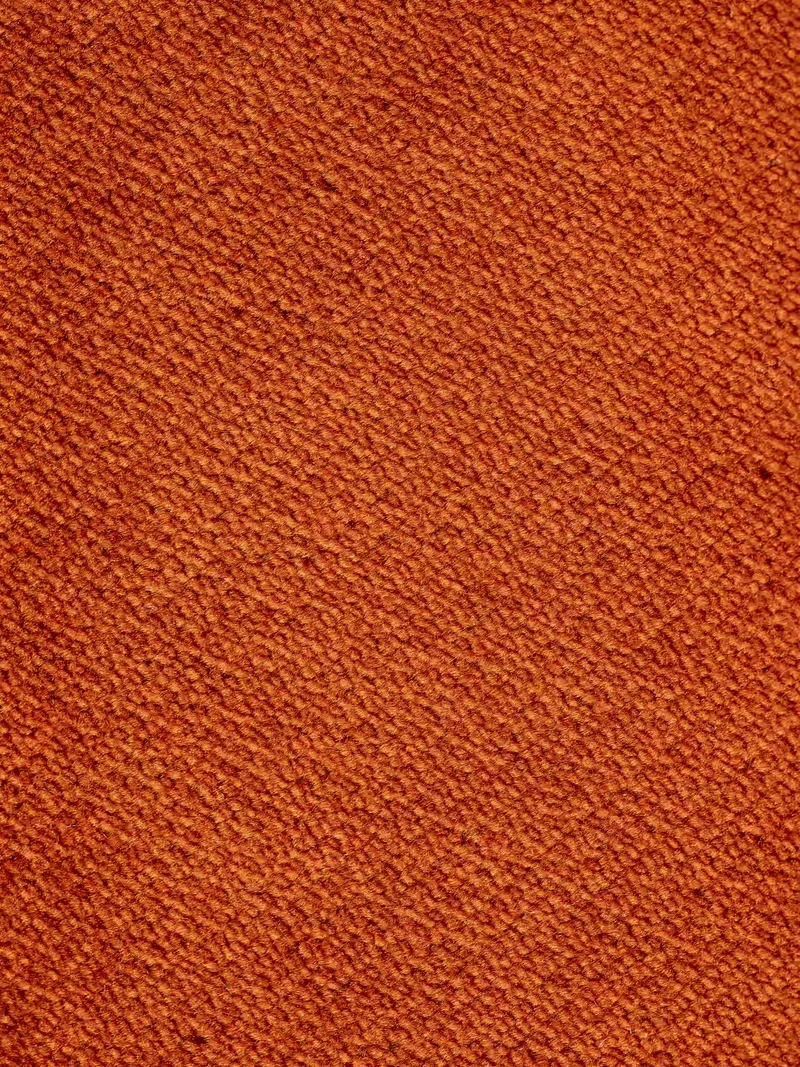 Francy canapé-lit avec appuie-têtes réglables - 100% déhoussable en élégant tissu anti-taches T30