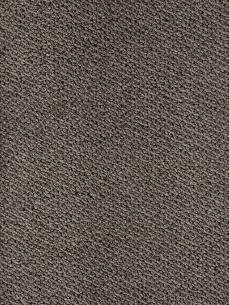 Francy canapé-lit avec appuie-têtes réglables - 100% déhoussable en élégant tissu anti-taches T30
