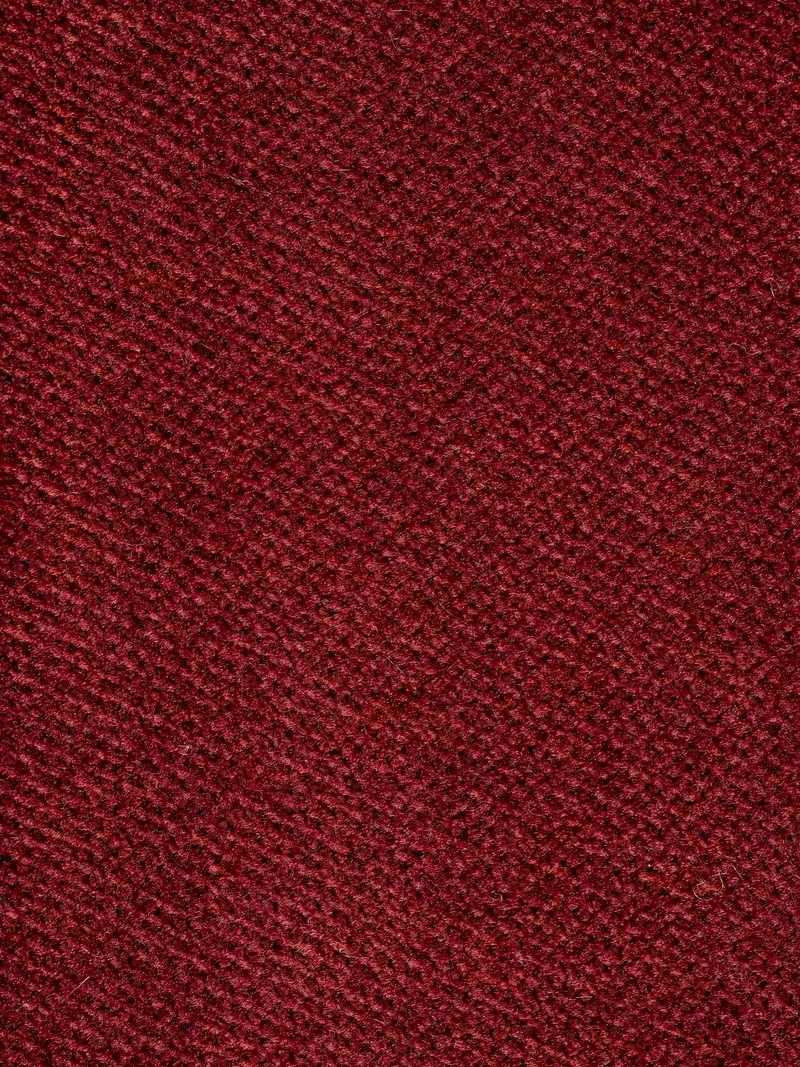 Francy canapé-lit avec appuie-têtes réglables - 100% déhoussable en élégant tissu anti-taches T30