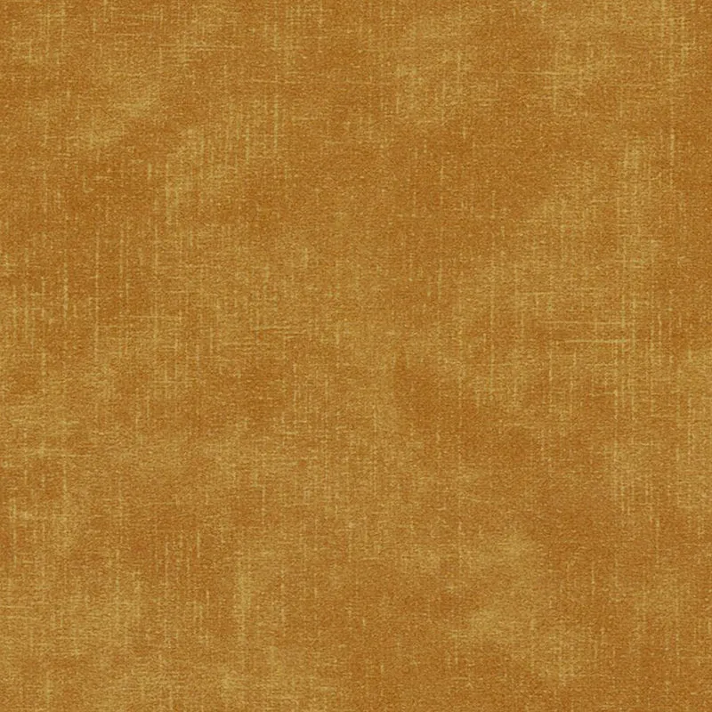 Terra