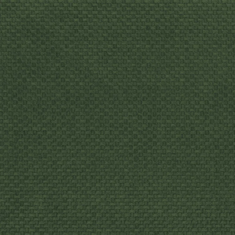 T26 Aston tissu doux à la trame texturée en chenille imperméable