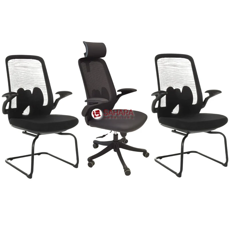Pack fauteuil président AXEL Réf B4328