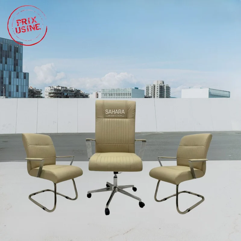 Ensemble Fauteuils BLAD Beige Réf B3593