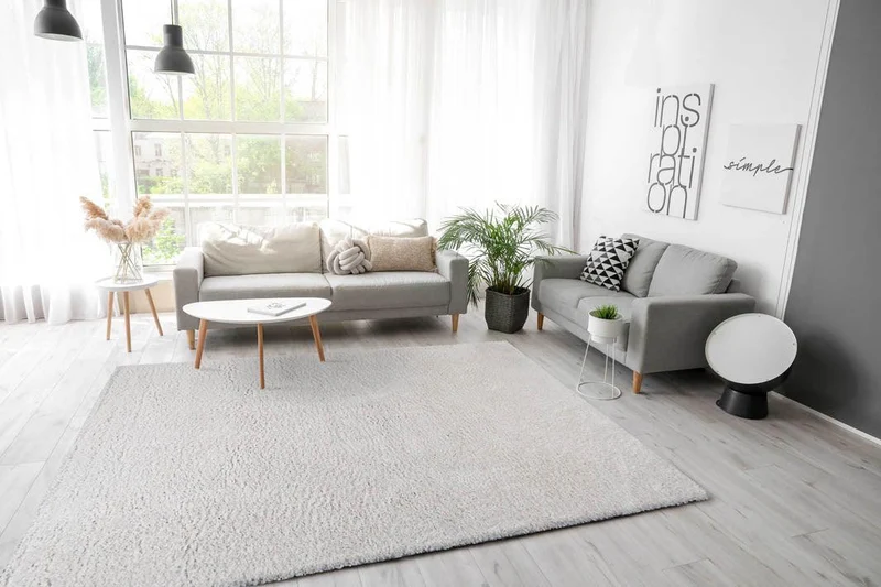 Tapis Shaggy poils court