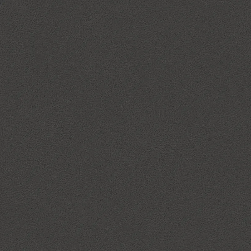 Nina lit coffre au design minimaliste en microfibre détachable effet cuir T15 anthracite