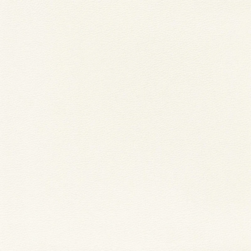 Coussin Florida disponible en plusieurs couleurs, fabriqué en simili cuir résistant et imperméable T04 blanc