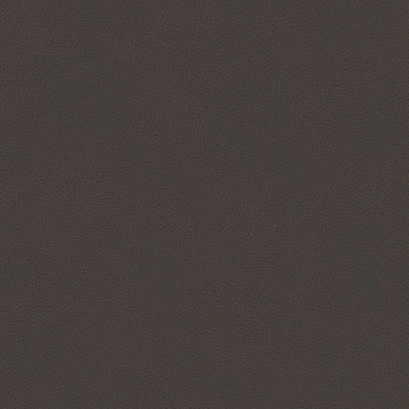 Nina lit coffre au design minimaliste en microfibre détachable effet cuir T15 marron