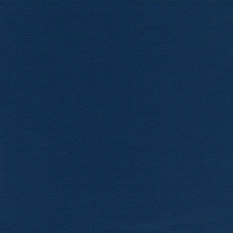 Midori lit rembourré capitonné avec pieds hauts en similicuir T04 bleu