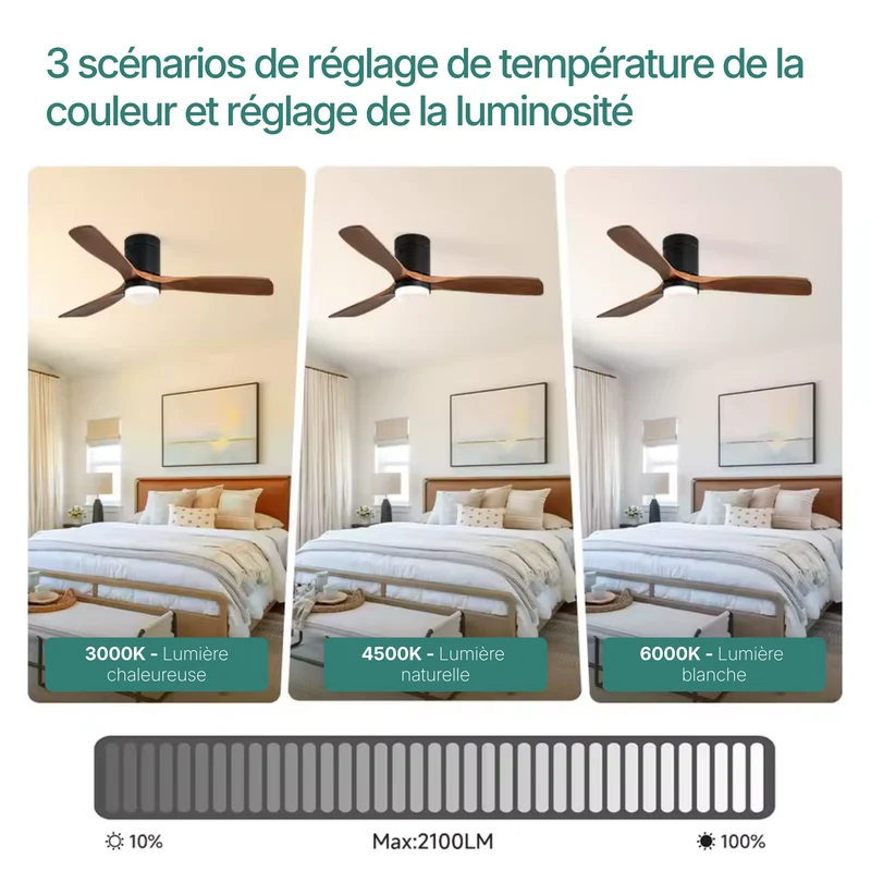 Kelly Ventilateur de Plafond silencieux de luxe - Bois Foncé Métal Noir Mat