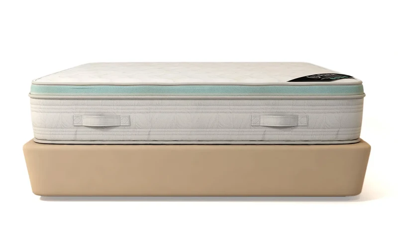 Matelas - Mémoire de Forme - 27cm d'Epaisseur - Aloe Vera - Elite