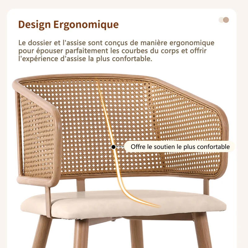 Lot de 2 chaises de salle à manger dossier en rotin, coussin d'assise en cuir PU beige, confortable et respirant NAD