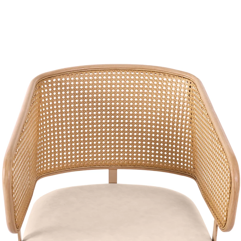 Lot de 2 chaises de salle à manger dossier en rotin, coussin d'assise en cuir PU beige, confortable et respirant NAD