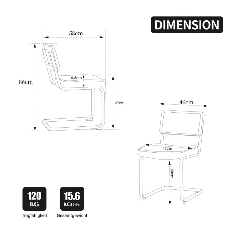 Lot de 2 chaises de salle à manger marron PU en cannage rotin, style breuer, structure acier chromé noir MINIMALISTMETALPLUS