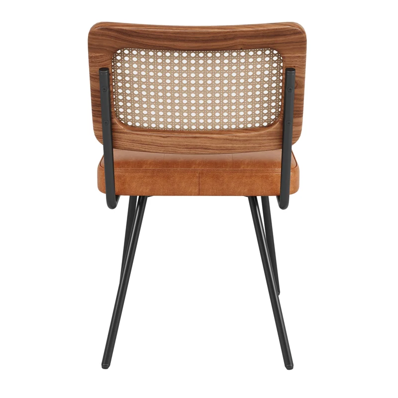 Lot de 2 chaise de salle à manger vintage en rotin PE et simili cuir marron SIRIUSGUIDE