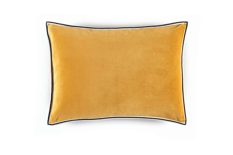 Aristote - housse 40x55 cm