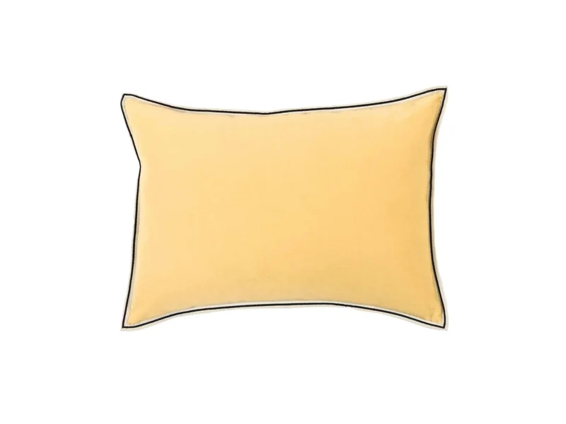 Aristote - housse 40x55 cm